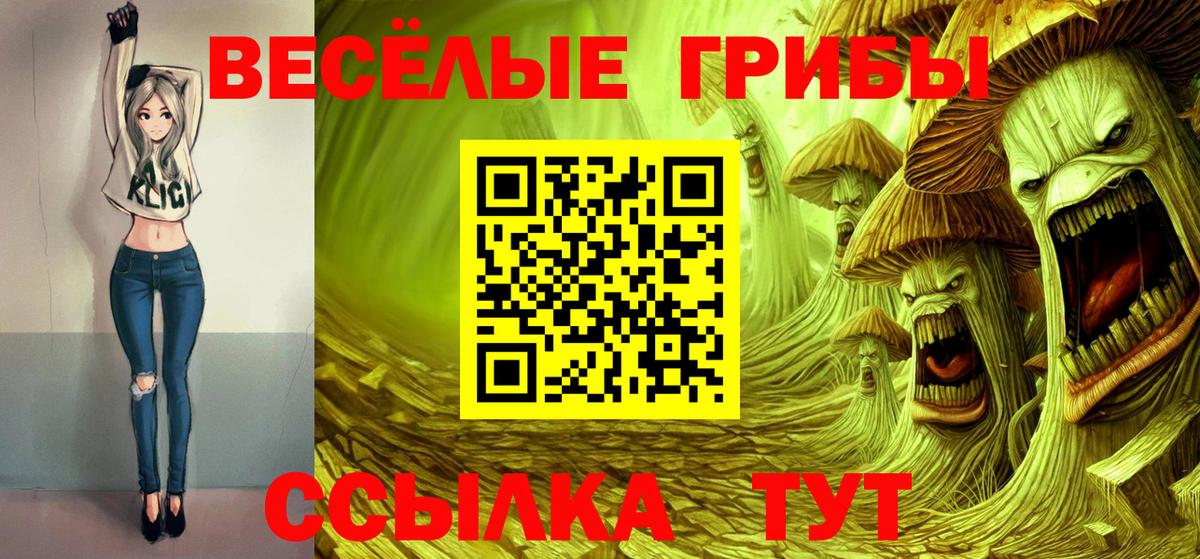 Галлюциногенные грибы Psilocybe Урус-Мартан