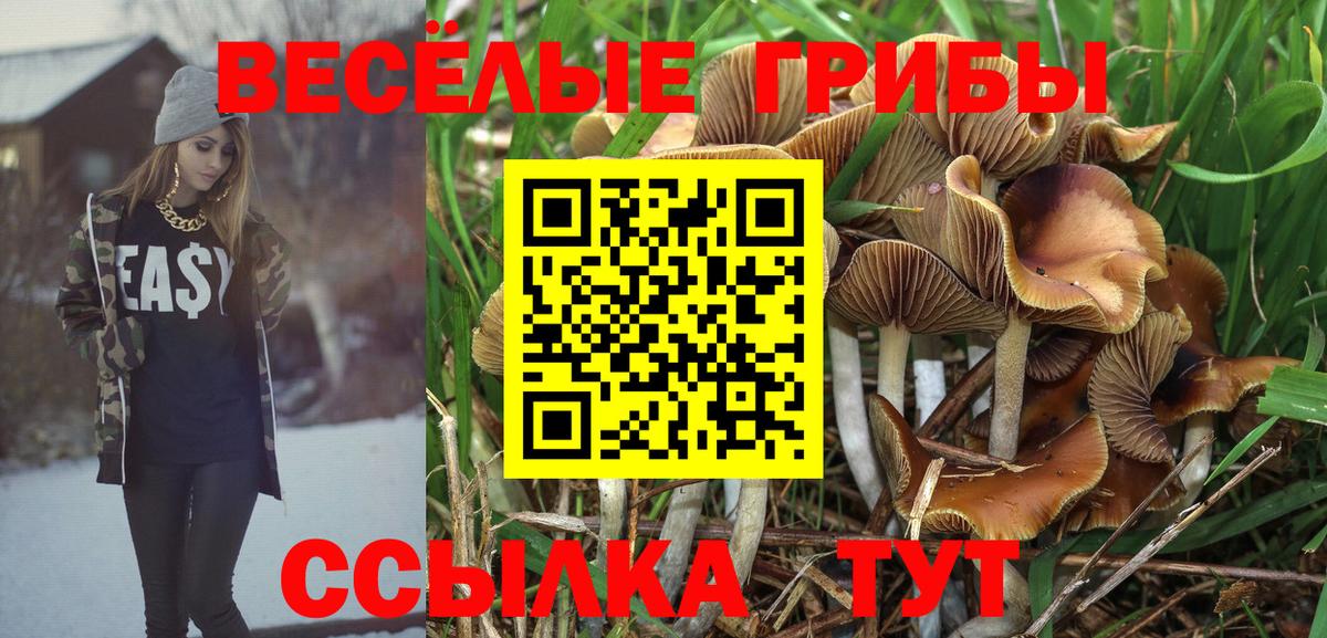 Галлюциногенные грибы прущие грибы  Галлюциногенные грибы Psilocybine cubensis  Вход с VPN  Урус-Мартан 